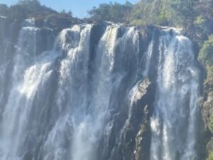 Top 5 Guided Tours at Victoria Falls